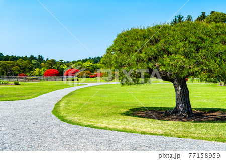 茨城県 水戸偕楽園　見晴広場 77158959