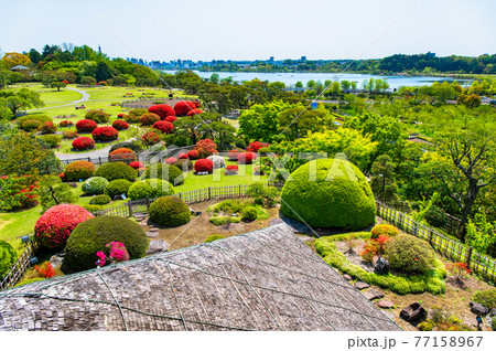 茨城県 水戸偕楽園 好文亭(楽寿楼からの眺望) 茨城県 水戸偕楽園 好文亭(楽寿楼からの眺望) 77158967