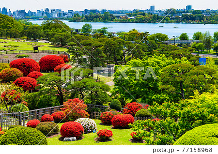 茨城県 水戸偕楽園　好文亭（楽寿楼からの眺望） 77158968