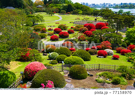 茨城県 水戸偕楽園 好文亭(楽寿楼から見る見晴広場) 茨城県 水戸偕楽園 好文亭(楽寿楼から見る見晴広場) 77158970