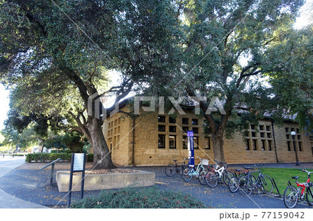 スタンフォード大学のBuilding500 77159042