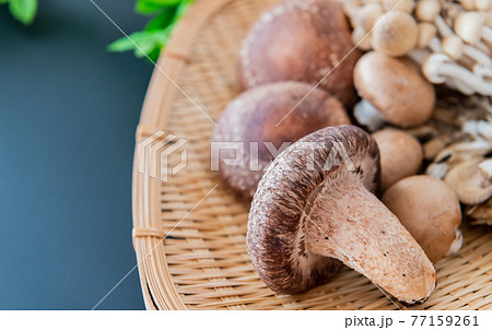 秋の味覚 きのこ クローズアップ 黒背景素材 77159261