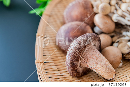秋の味覚 きのこ クローズアップ 黒背景素材 秋の味覚 きのこ クローズアップ 黒背景素材 77159263