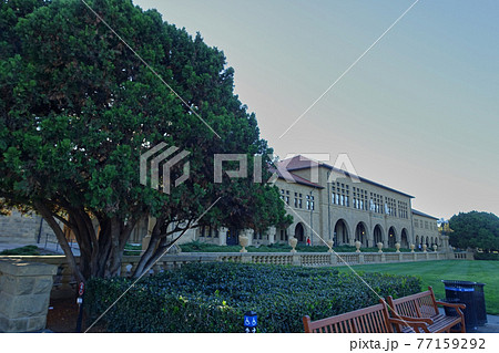 スタンフォード大学のメイン・クワッドをスタンフォードオーバルから見た風景 スタンフォード大学のメイン・クワッドをスタンフォードオーバルから見た風景 77159292