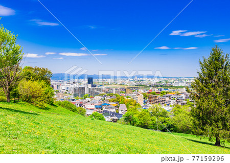 新緑の丘から眺める住宅地 新緑の丘から眺める住宅地 77159296