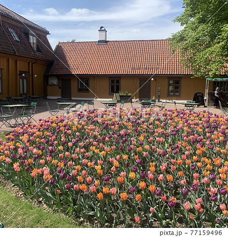 コロナ渦の過ごし方 コロナ渦の過ごし方 77159496