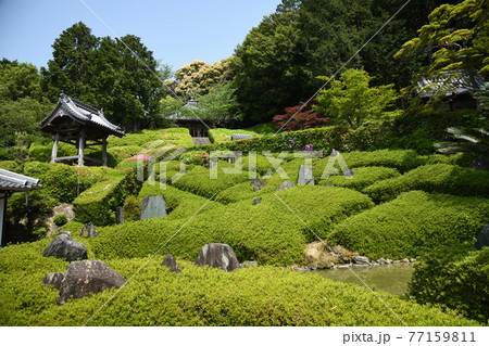 林昌寺 法林の庭 (大阪府泉南市信達岡中) 林昌寺 法林の庭 (大阪府泉南市信達岡中) 77159811