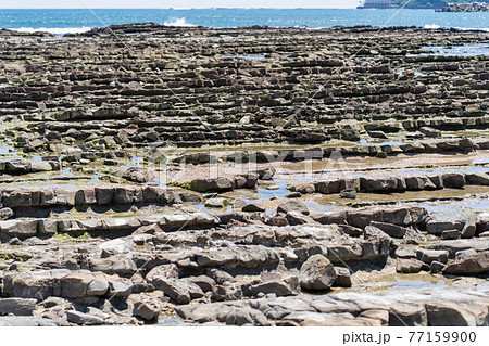 青島_宮崎市 隆起海床と奇形波蝕痕(史跡名勝天然記念物) 青島_宮崎市 隆起海床と奇形波蝕痕(史跡名勝天然記念物) 77159900