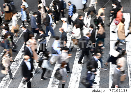 横断歩道 77161153