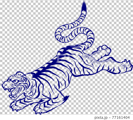 浮世絵風の虎 青い線画 77161404