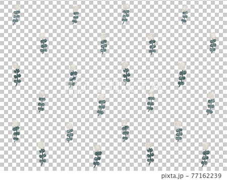 北欧ガーリーなホワイトフラワーのパターン背景 77162239