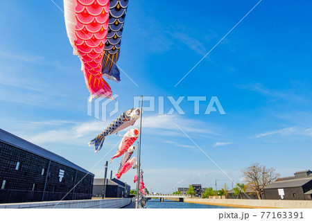 半田運河、泳ぐ鯉のぼり〈愛知県半田市〉 77163391