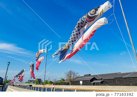 半田運河、泳ぐ鯉のぼり〈愛知県半田市〉 77163392
