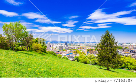 新緑の丘から眺める住宅地 77163507