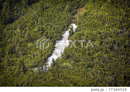 Snow field, Little Fatra, Slovakia Snow field, Little Fatra, Slovakia 77164520