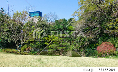 西郷従道邸跡に造られた菅刈公園(目黒区青葉台、西郷山公園と隣接) 西郷従道邸跡に造られた菅刈公園(目黒区青葉台、西郷山公園と隣接) 77165084