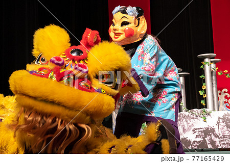 鮮やか 中華獅子舞 鮮やか 中華獅子舞 77165429