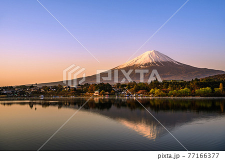 （山梨県）静かな湖畔に映る逆さ紅富士・河口湖 77166377