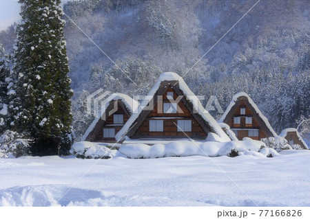 雪の白川郷 雪の白川郷 77166826