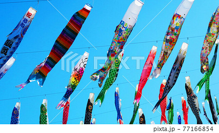 2021年第20回川口芝川鯉のぼり祭りの風景 77166854