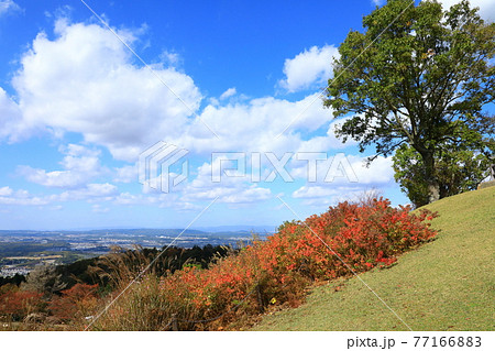 紅葉の若草山山頂から望む奈良市街地風景 紅葉の若草山山頂から望む奈良市街地風景 77166883