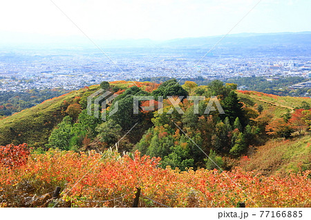 紅葉の若草山山頂から望む奈良市街地風景 紅葉の若草山山頂から望む奈良市街地風景 77166885