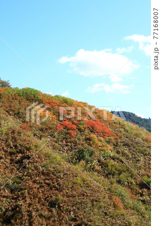 紅葉の若草山山頂からの眺望 紅葉の若草山山頂からの眺望 77168007