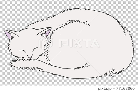 眠る白猫 眠る白猫 77168860