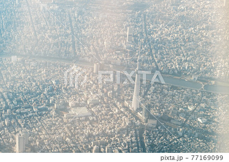 空から見たスカイツリーと東京の街並み 空から見たスカイツリーと東京の街並み 77169099