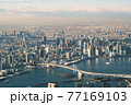 空から見た東京タワーとレインボーブリッジ 77169103