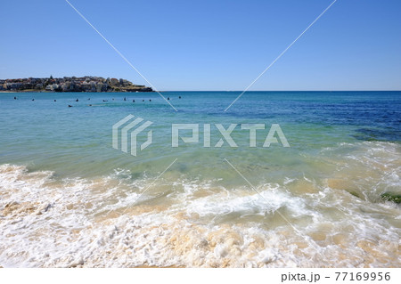 シドニーで最も美しい景色のBondi to Coogee Coastal Walk（ボンダイビーチ） 77169956