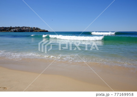 シドニーで最も美しい景色のBondi to Coogee Coastal Walk(ボンダイビーチ) シドニーで最も美しい景色のBondi to Coogee Coastal Walk(ボンダイビーチ) 77169958
