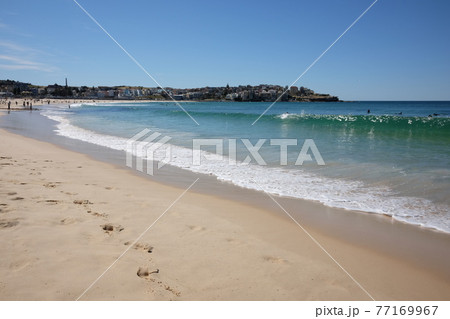 シドニーで最も美しい景色のBondi to Coogee Coastal Walk(ボンダイビーチ) シドニーで最も美しい景色のBondi to Coogee Coastal Walk(ボンダイビーチ) 77169967