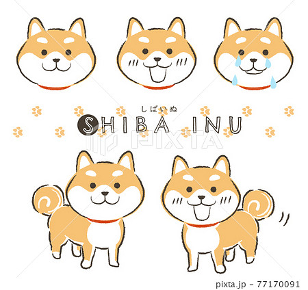 柴犬キャラクターのベクターイラストセット 白背景 のイラスト素材