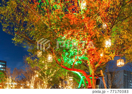中野セントラルパークのイルミネーション　都市風景 77170383