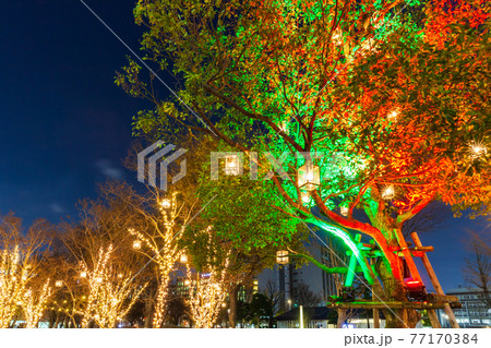 中野セントラルパークのイルミネーション　都市風景 77170384