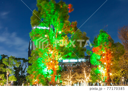 中野セントラルパークのイルミネーション　都市風景 77170385