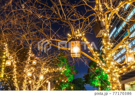 中野セントラルパークのイルミネーション　都市風景 77170386
