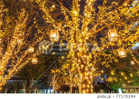中野セントラルパークのイルミネーション　都市風景 77170394