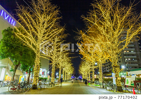 光が丘公園のイルミネーション　東京夜景 77170402