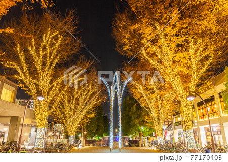 光が丘公園のイルミネーション　東京夜景 77170403