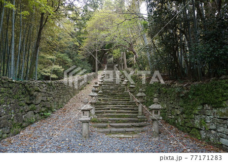 萬松院（万松院）の百雁木 77171283