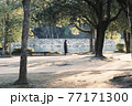 夕日に照らされて公園で散歩 77171300