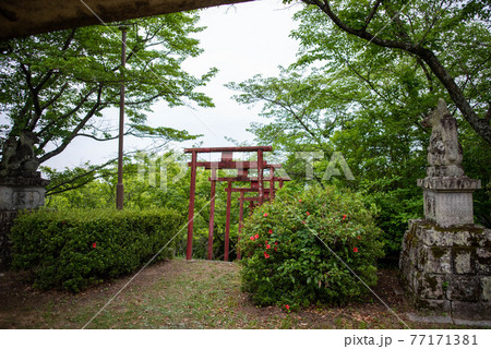 宇佐市　響山公園 77171381