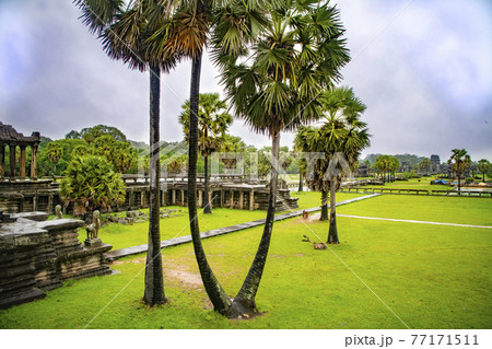 Angkor Wat is the largest temple in the world (Cambodia, 2019). It is raining Angkor Wat is the largest temple in the world (Cambodia, 2019). It is raining 77171511