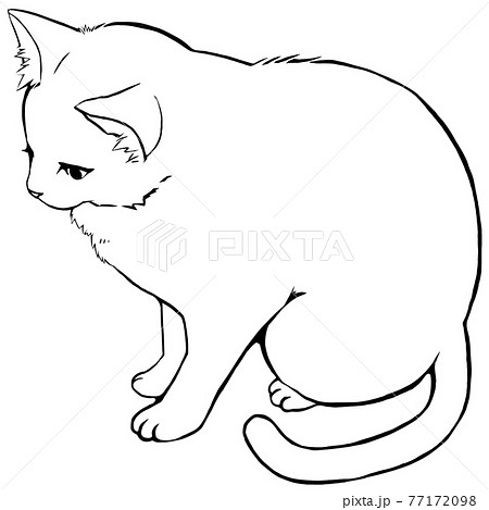 うつむいて下の方を見つめる猫のイラストのイラスト素材 うつむいて下の方を見つめる猫のイラストのイラスト素材