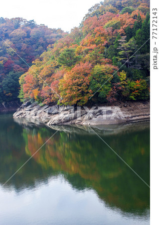 湖畔の紅葉　日出生ダム 77172143
