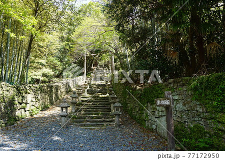 萬松院(万松院)百雁木 萬松院(万松院)百雁木 77172950