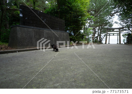杵築市 奈多海岸・奈多宮 杵築市 奈多海岸・奈多宮 77173571
