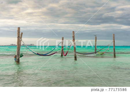 Hammocks hang on poles in the Caribbean. Mexico. Hammocks hang on poles in the Caribbean. Mexico. 77173586